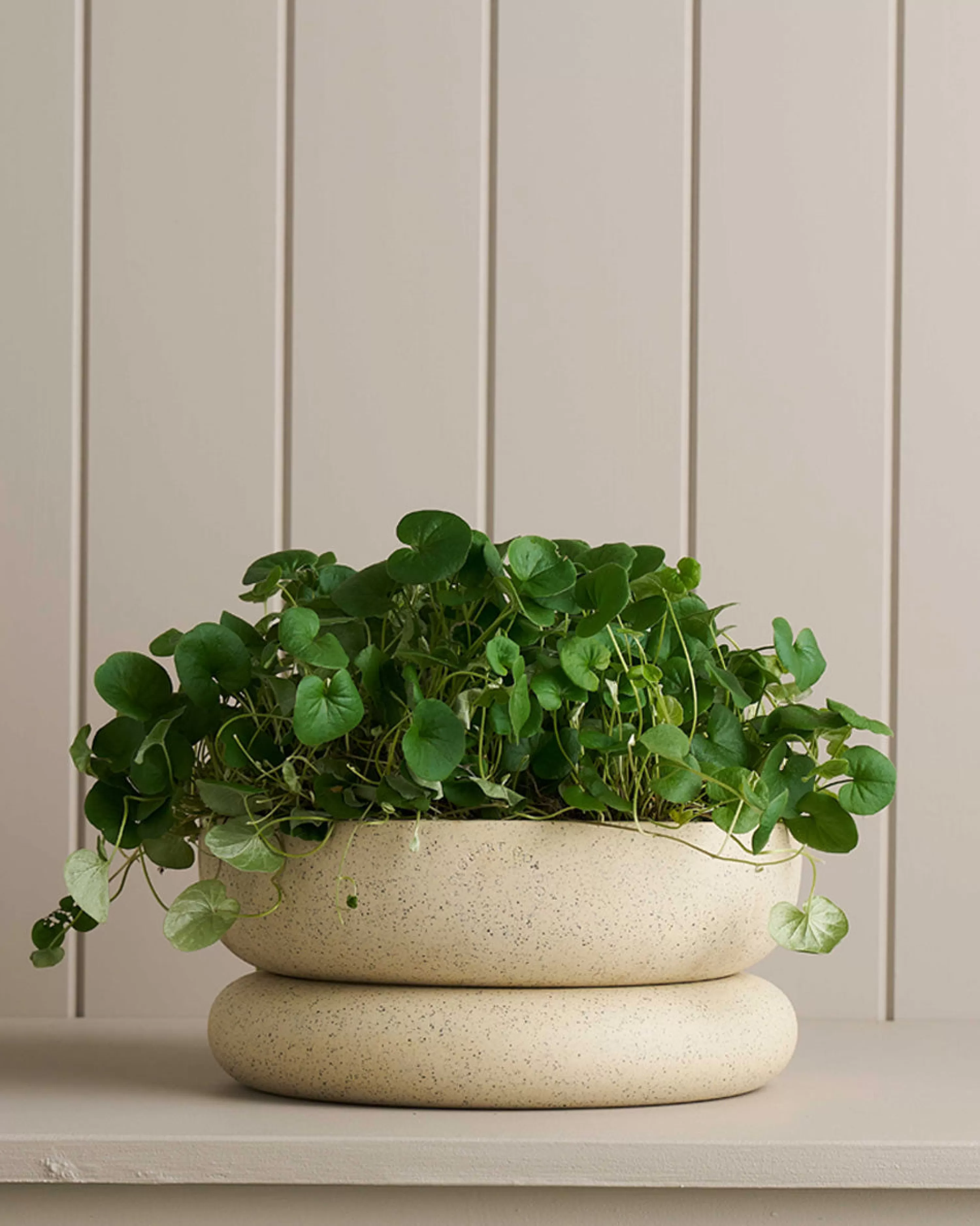 Robert Gordon Planters & Watering Cans-Wide Cloud Planter / White Speckle