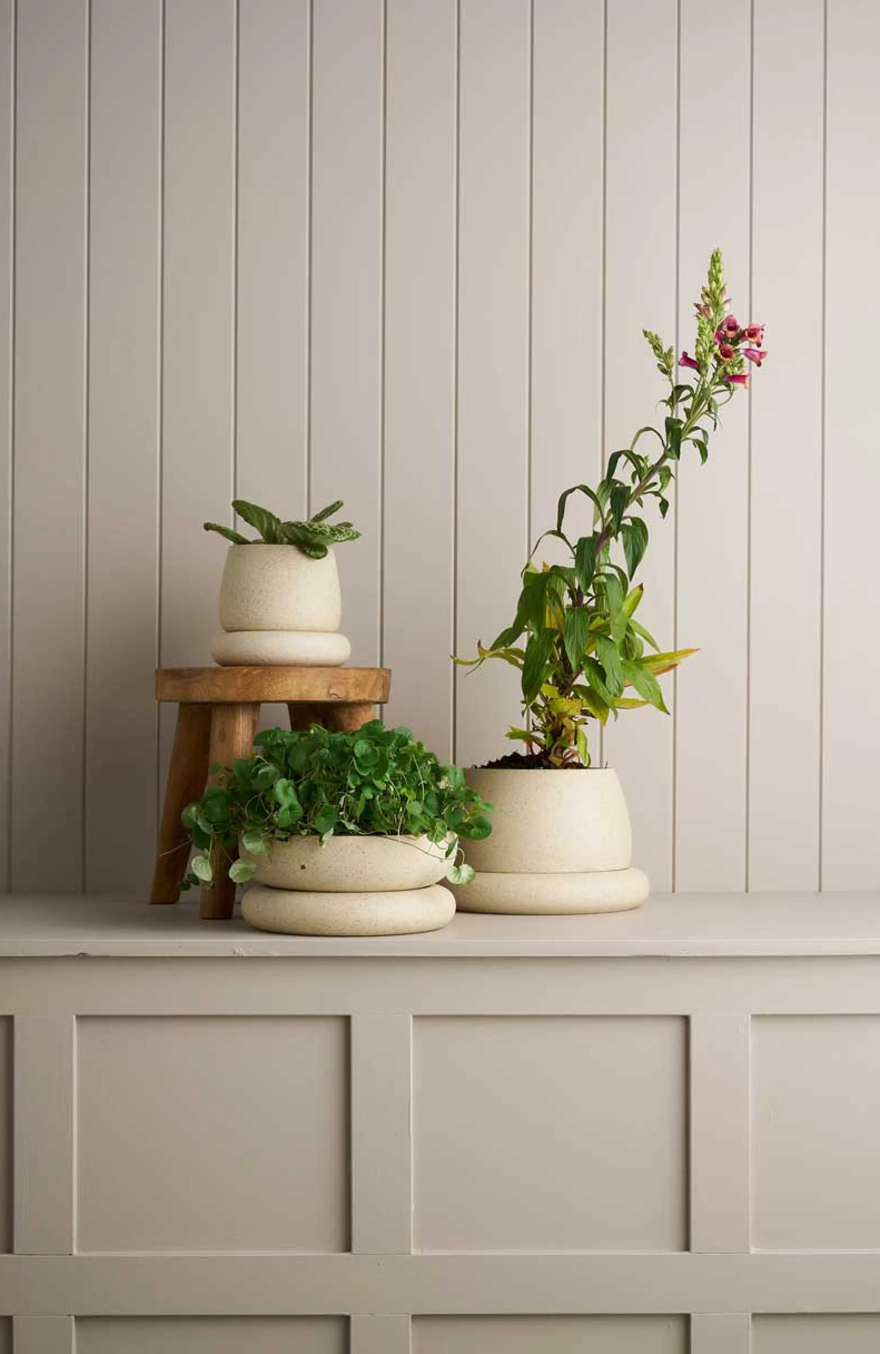 Robert Gordon Planters & Watering Cans-Wide Cloud Planter / White Speckle